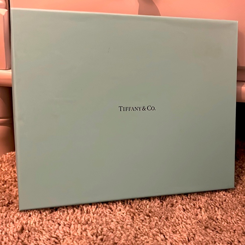 Tiffany & Co iPad case (Will NOT fit a mini iPod)